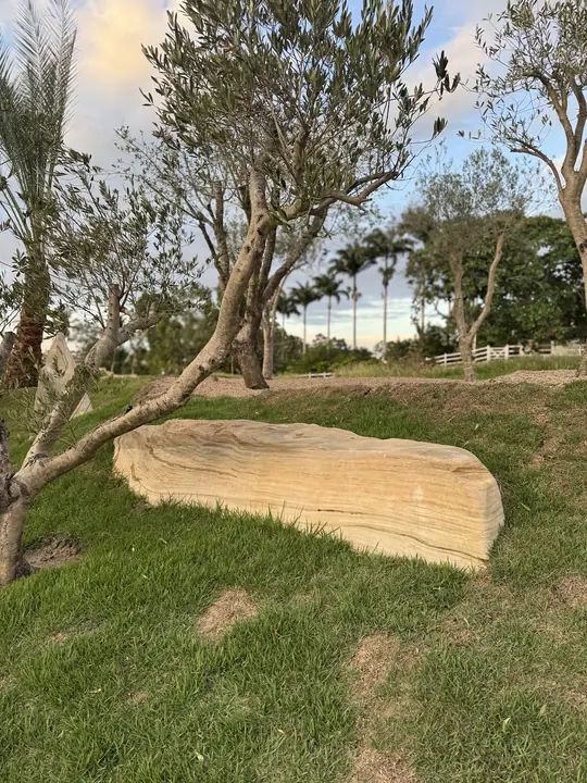 Oliveira ao lado de uma rocha clara alongada no gramado