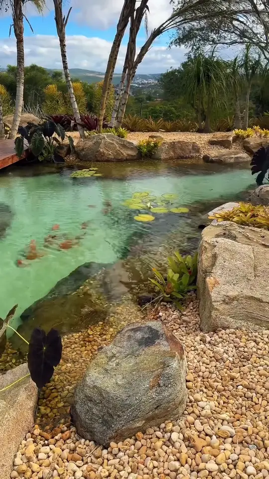 Lago ornamental de água clara cercado por pedras e vegetação